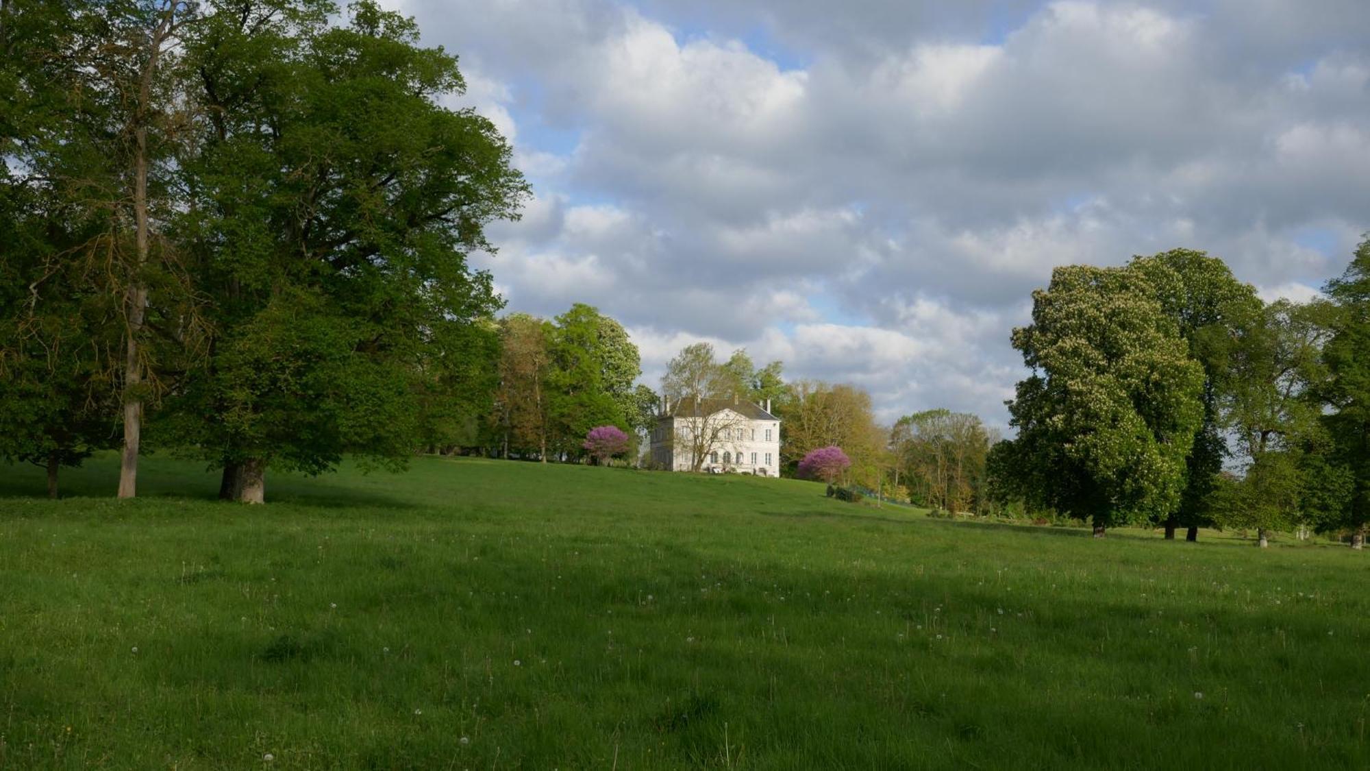 B&B Chateau De Preuil Vallenay Exteriör bild