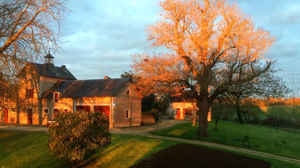 B&B Chateau De Preuil Vallenay Exteriör bild